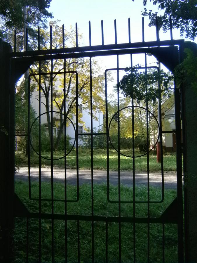 P6281890g.jpg