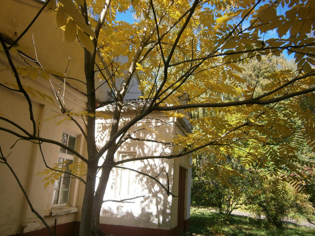 P6291897j.jpg