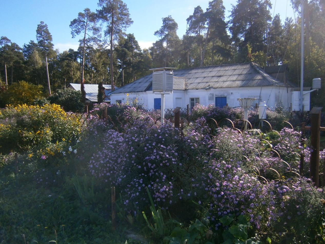 P6291919g.jpg