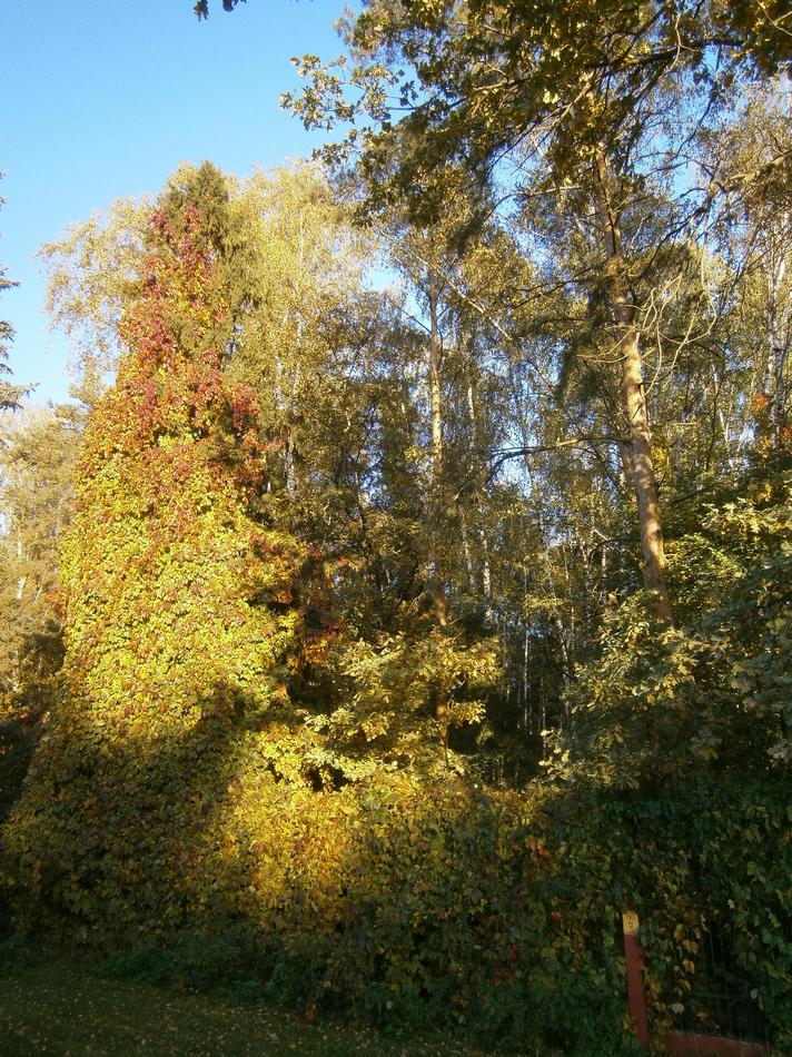 P7041991h.jpg
