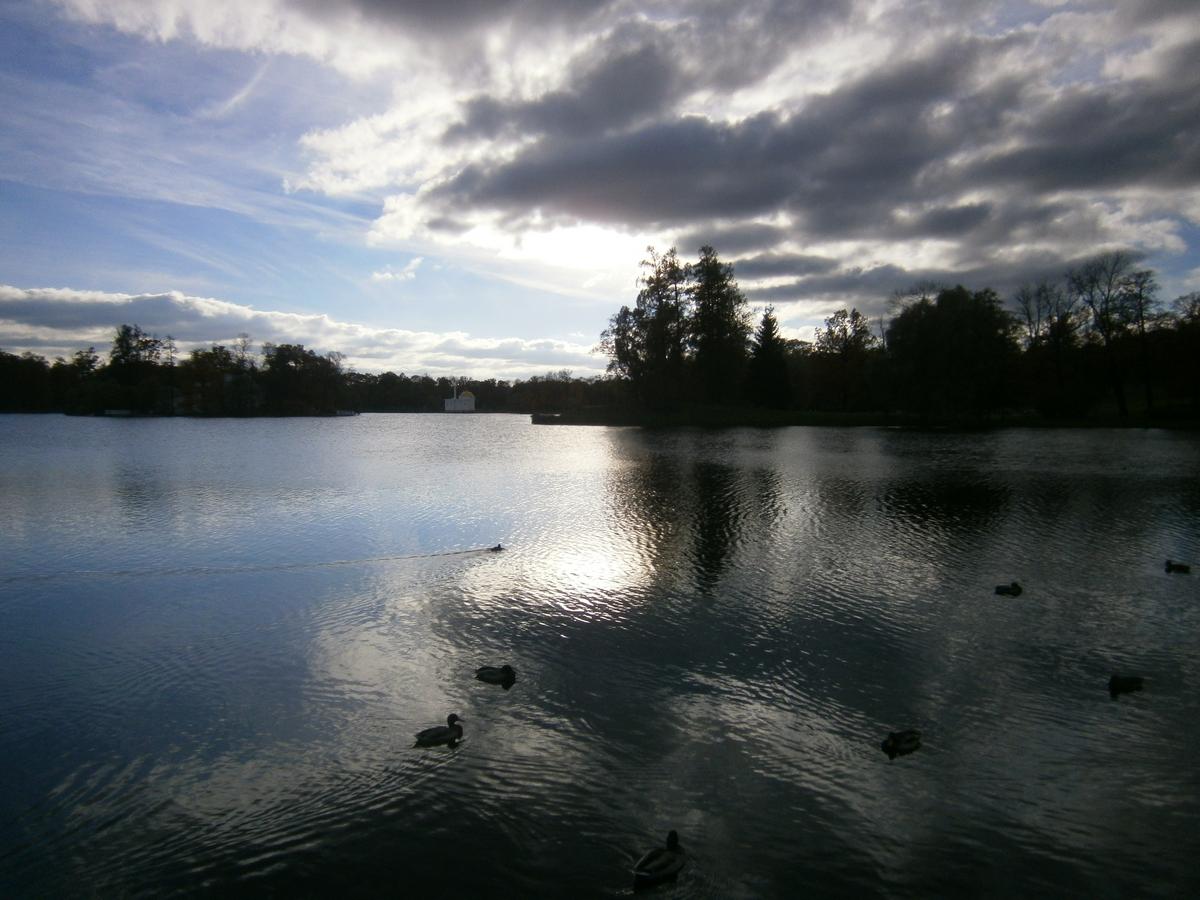 P7092058.JPG