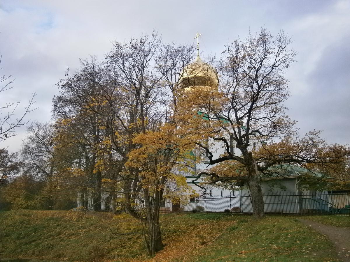 P7112160.JPG