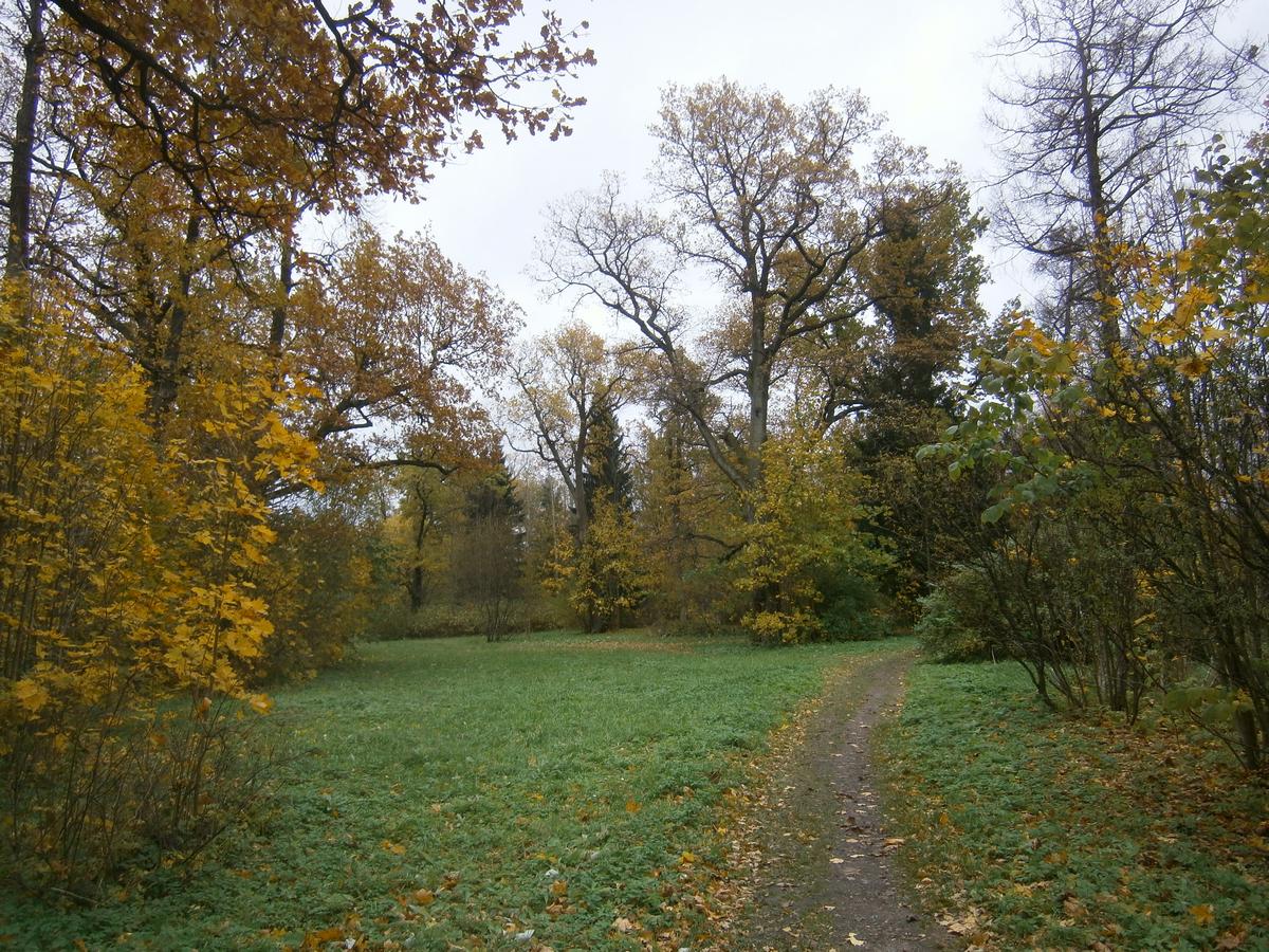 P7112172.JPG
