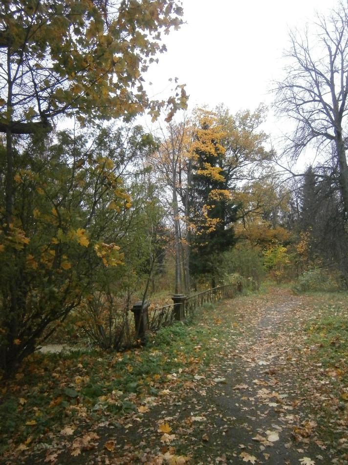 P7112175.JPG