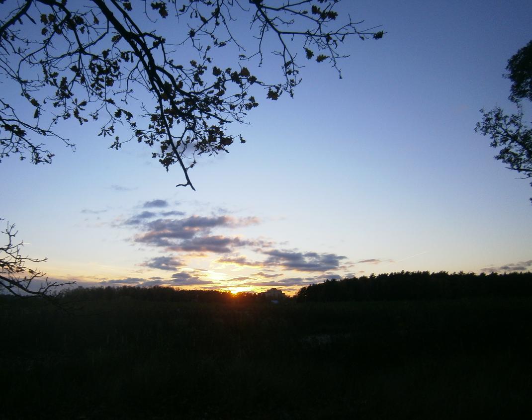 P7132232.JPG