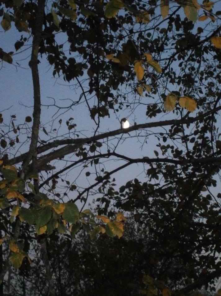 P7132249.JPG