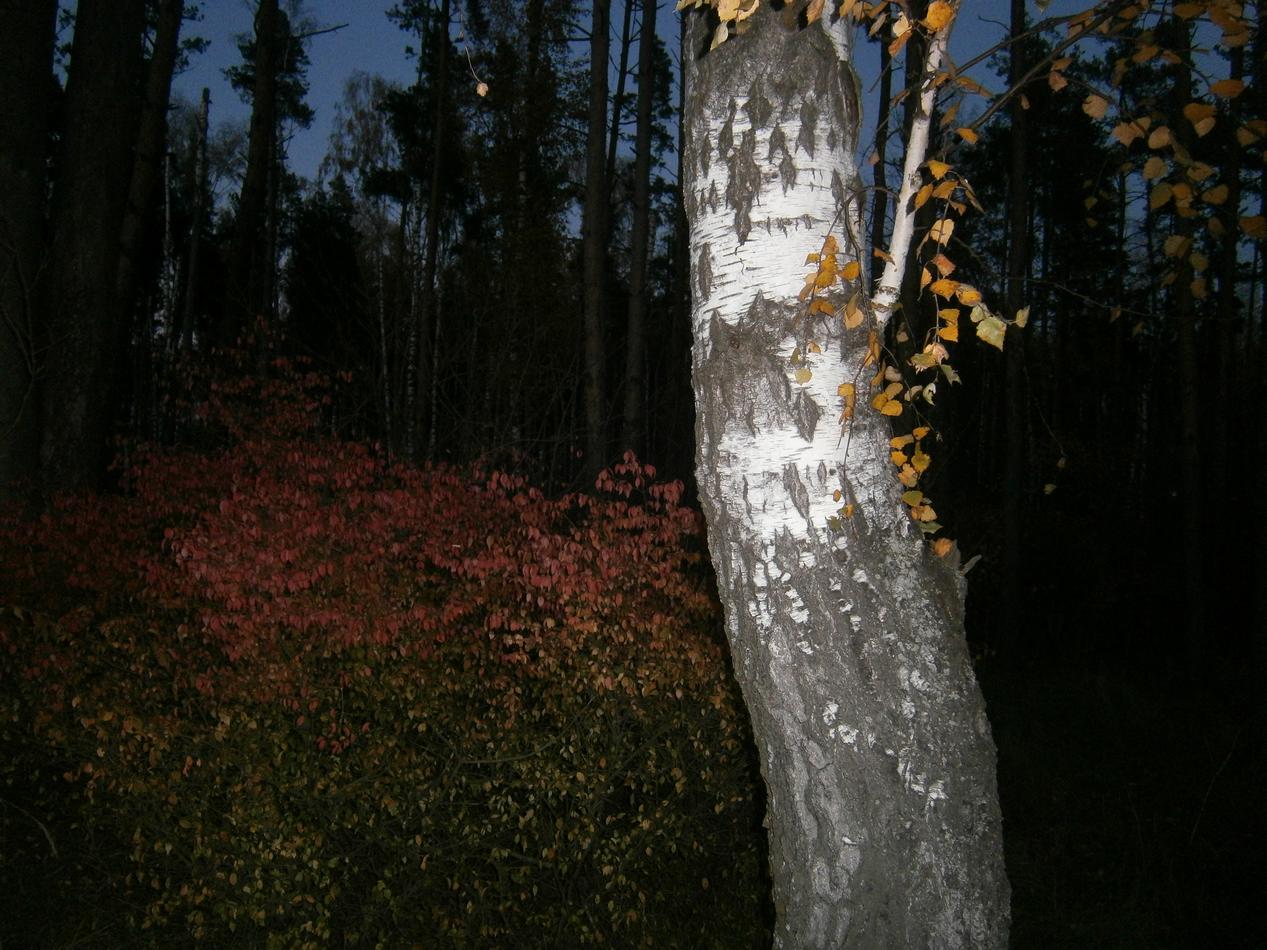 P7132255.JPG