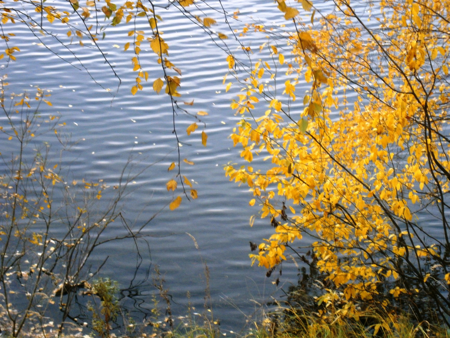 P7174820.JPG