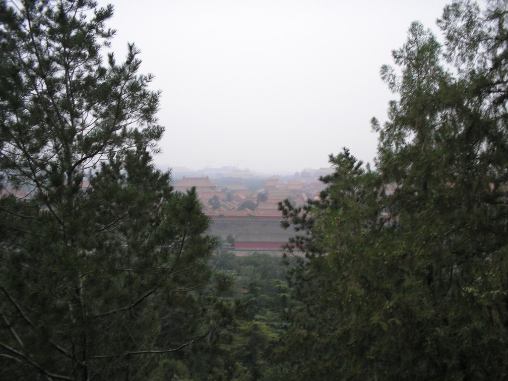 P7190158 Парк Цзиншань, вид на Запретный город.JPG