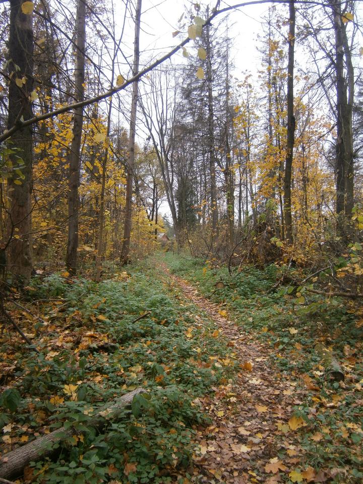P7202338ll.jpg