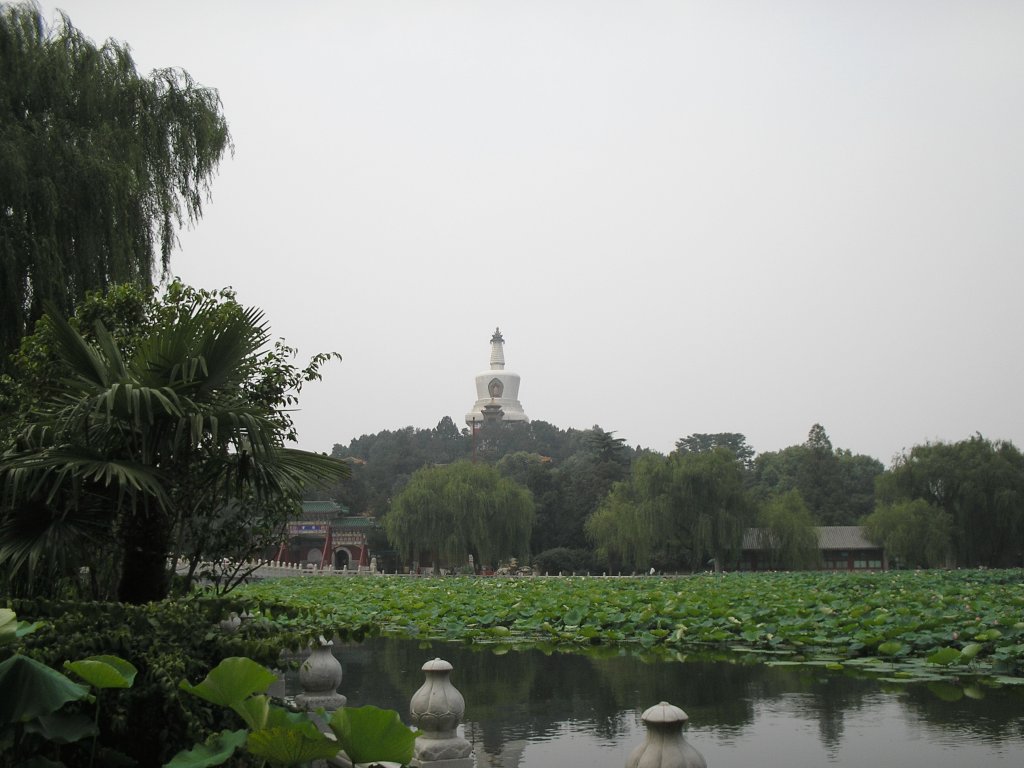 P7210027_0.jpg