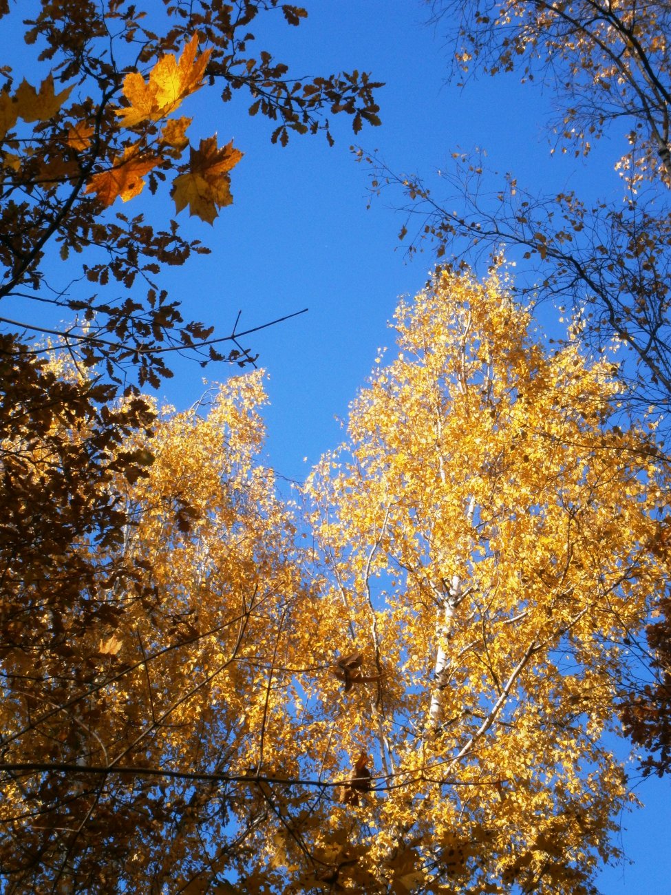 P7214841.JPG