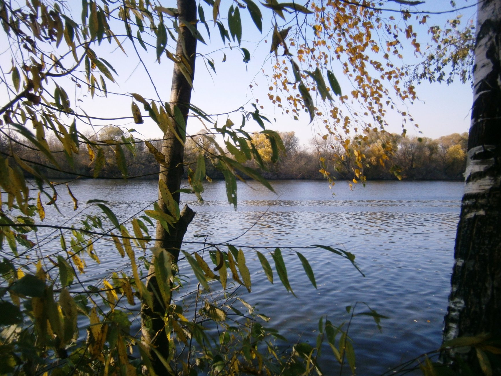 P7214927.JPG