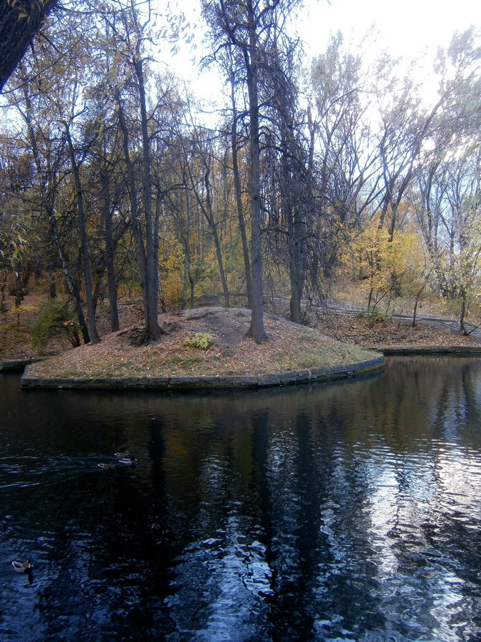 P7234010п.jpg