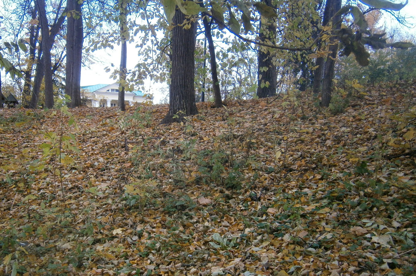 P7234012р.jpg
