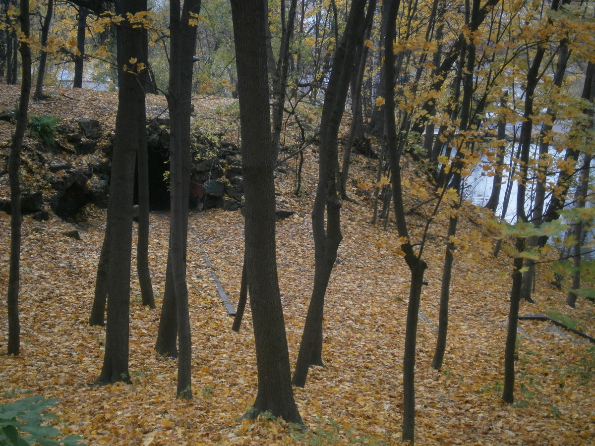 P7234020р.jpg