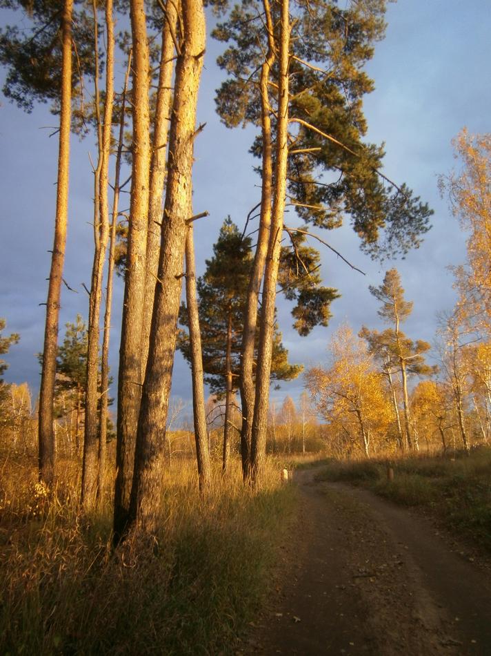 P7262393g.jpg