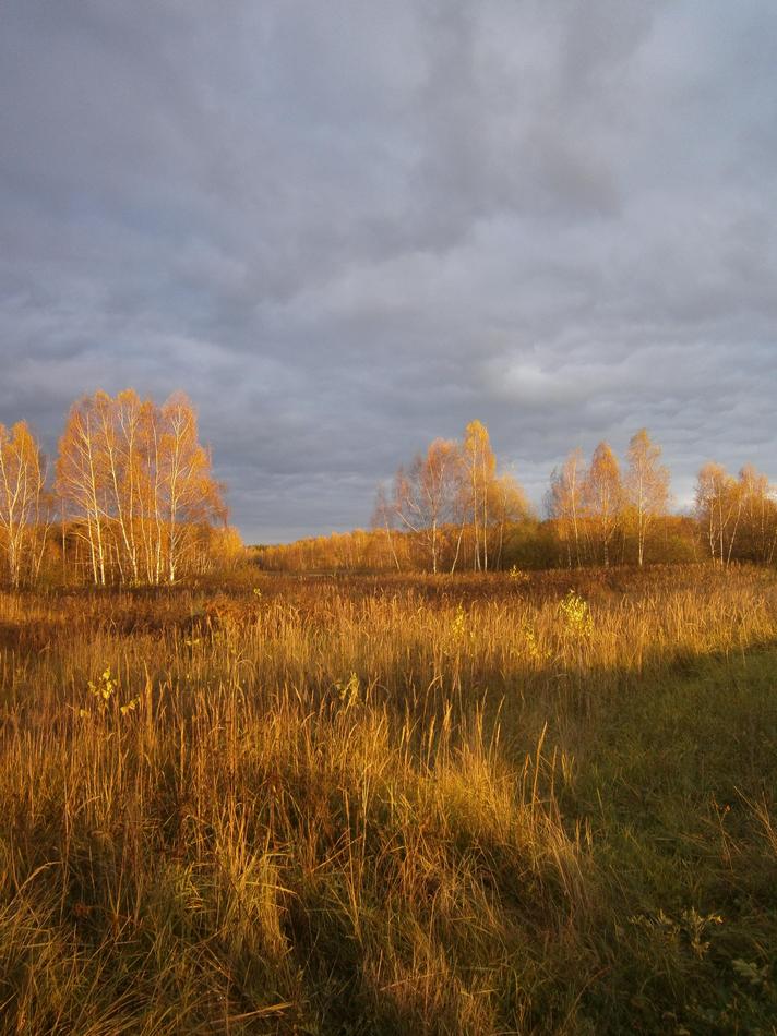 P7262397g.jpg