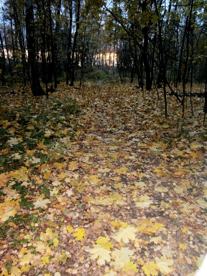 P7262411h.jpg