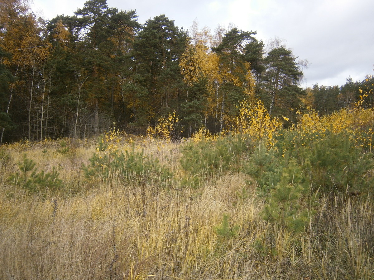 P7304947.JPG