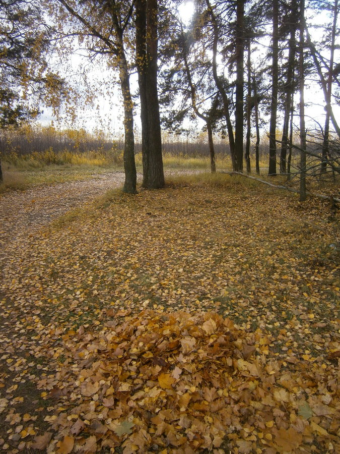 P7304959.JPG