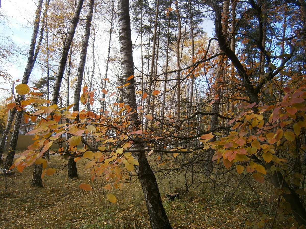 P7304964.JPG