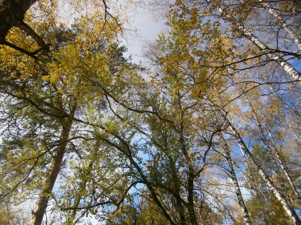P7304968.JPG