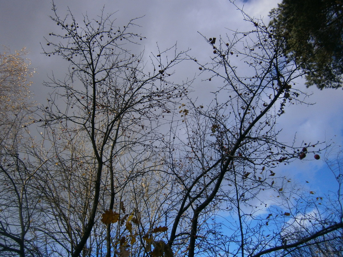 P7304969.JPG