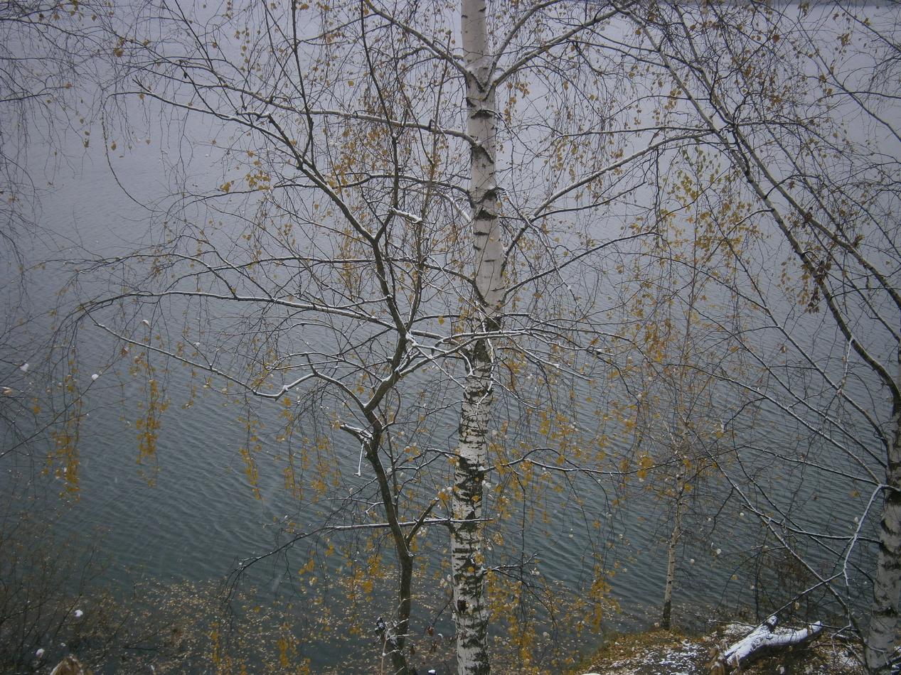 P8012453b.jpg