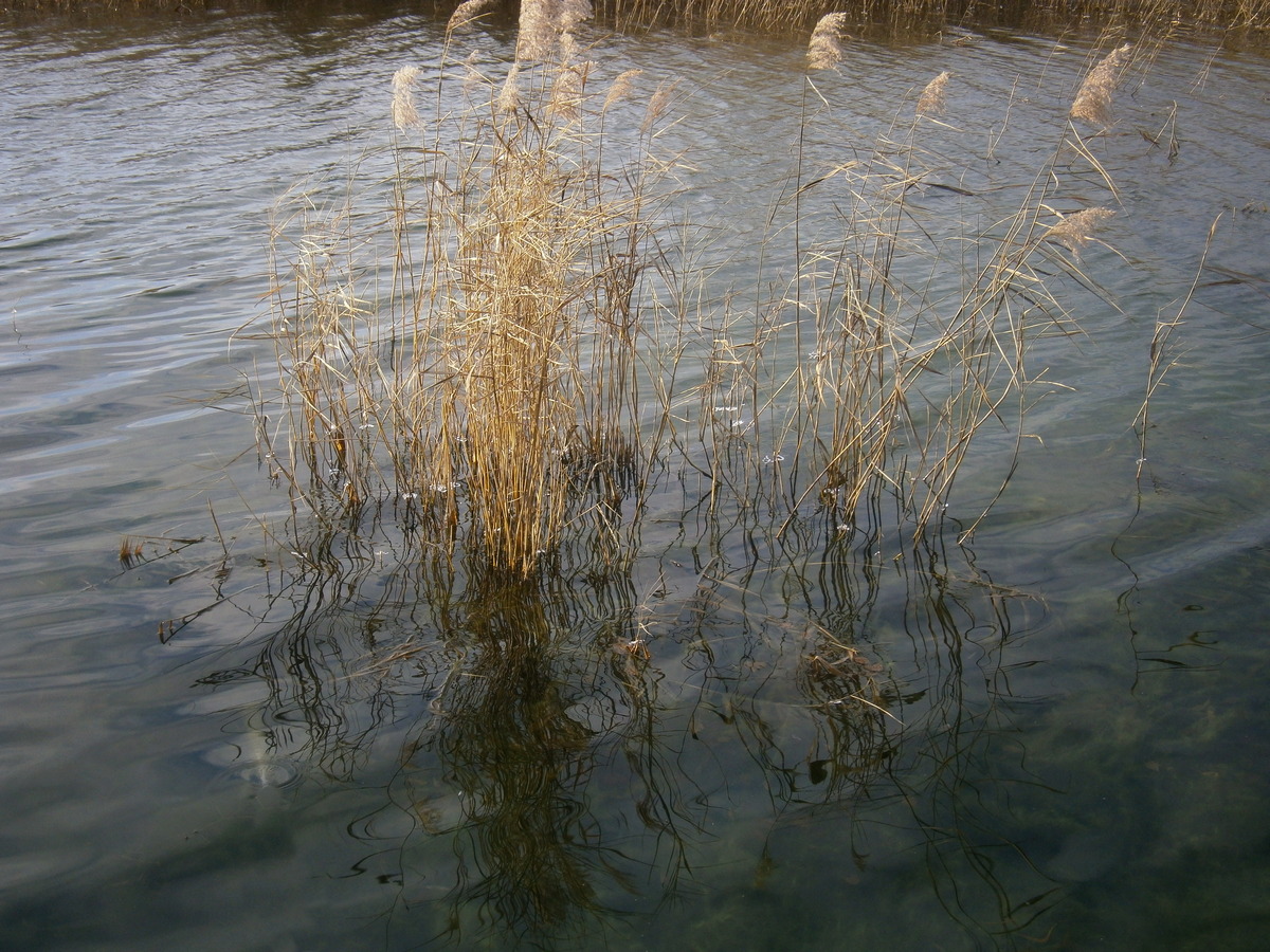 P8184977ы.jpg