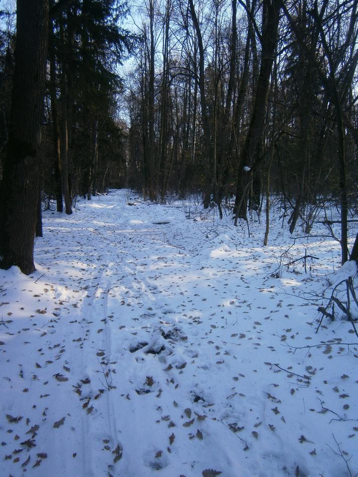 P8262529h.jpg