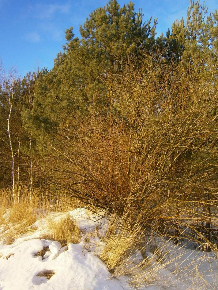 P8302540g.jpg