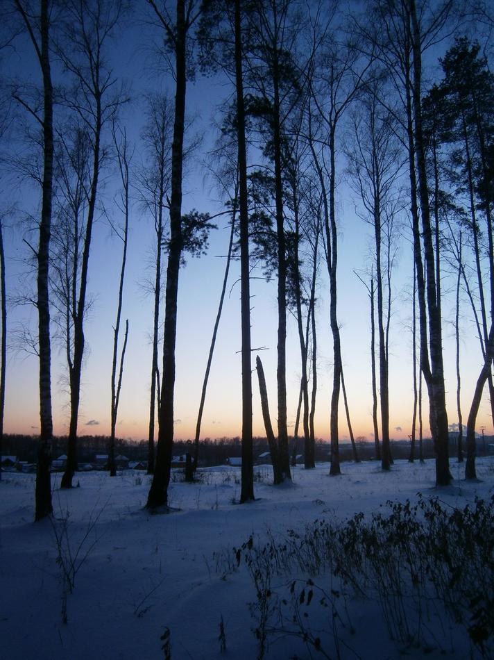 P9082640g.jpg