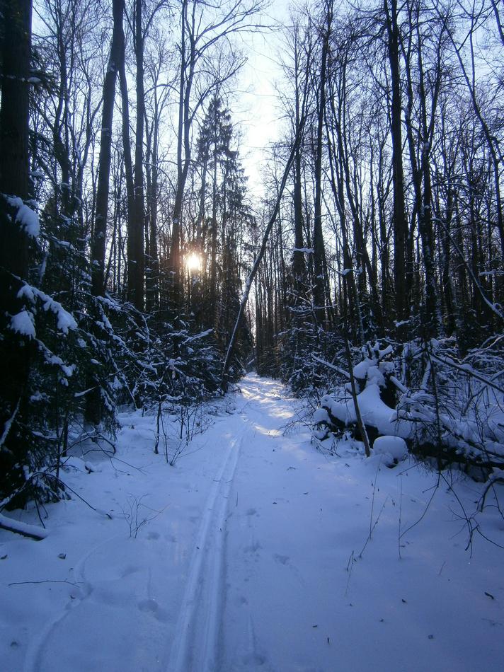 P9092647h.jpg