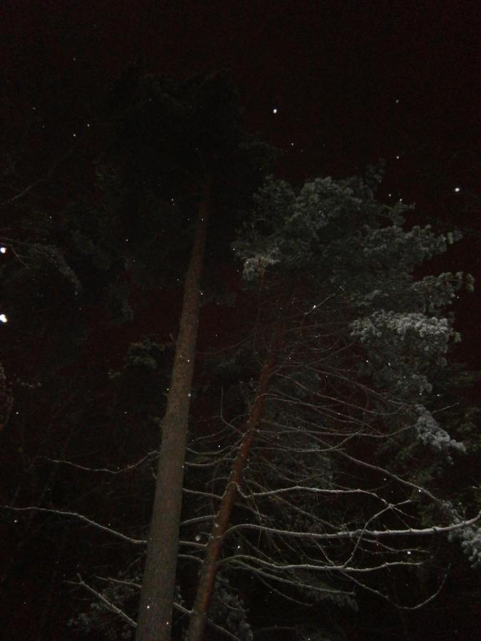 P9130444vc.jpg