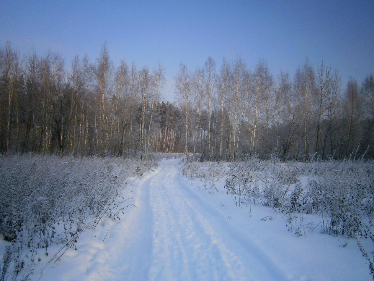 P9152653h.jpg