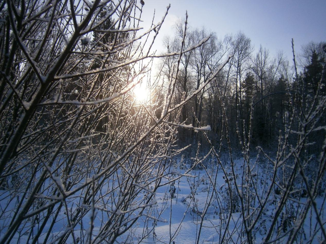 P9152661j.jpg