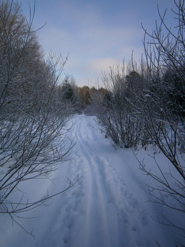 P9152663t.jpg