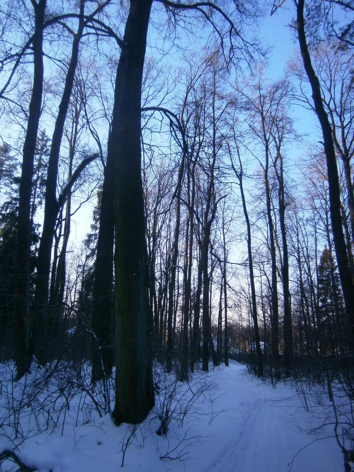 P9152664j.jpg