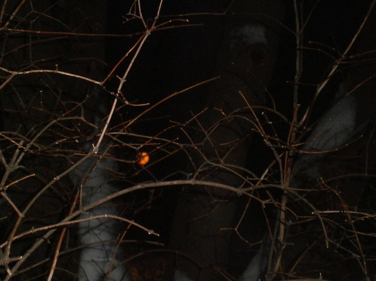 P9152668h.jpg