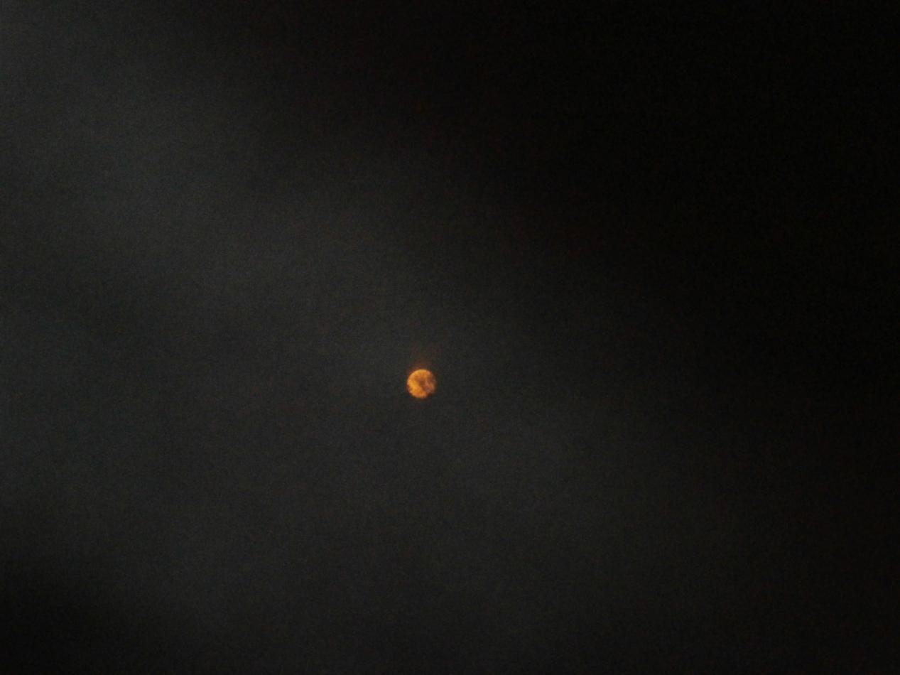 P9152680h.jpg