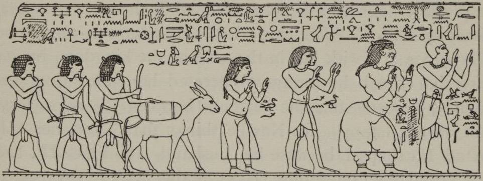 Pa-rehu,_the_Prince_of_Punt,_his_wife_and_his_two_sons,_and_a_daughter._(1902)_-_TIMEA.jpg