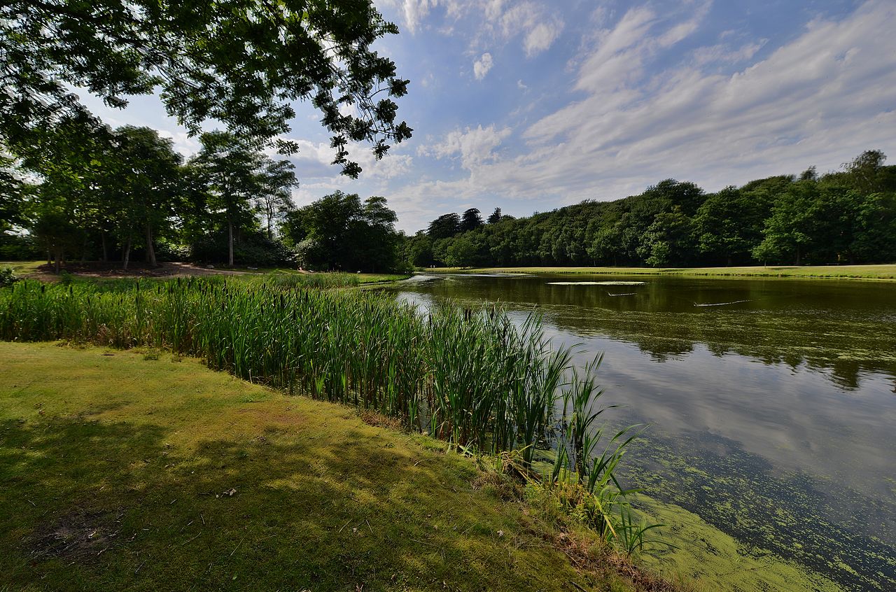 Painshill_Park_The_Lake.JPG