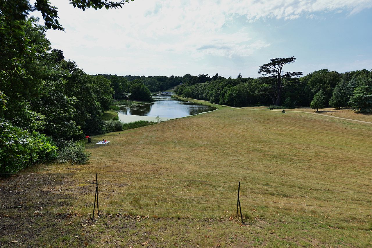 Painshill_Park_View_from_the_Gothic_Temple.JPG
