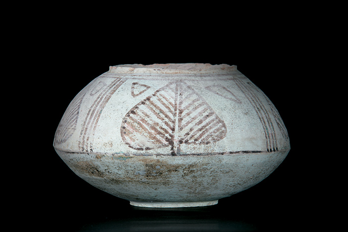 painted-pot-india-0A0I8378-700x467.jpg