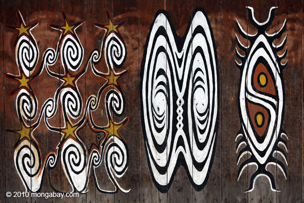 papua_0928.jpg