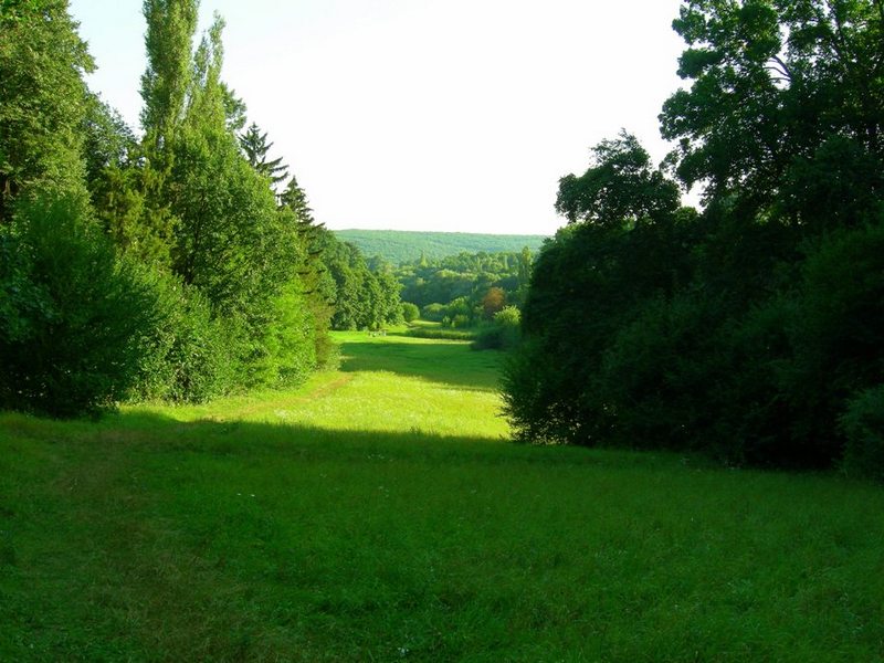 park.jpg