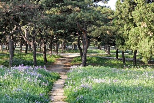 Park-v-Hrame-Neba-e1367834275897.jpg