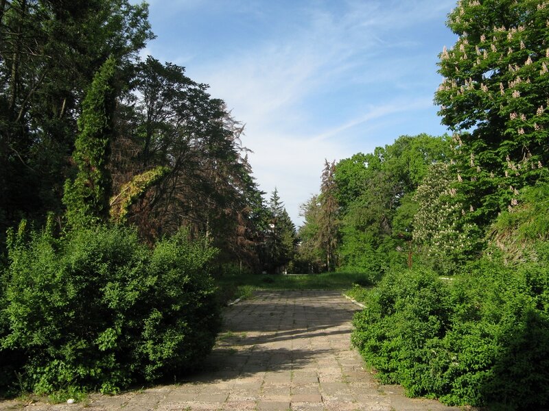 park1.jpg