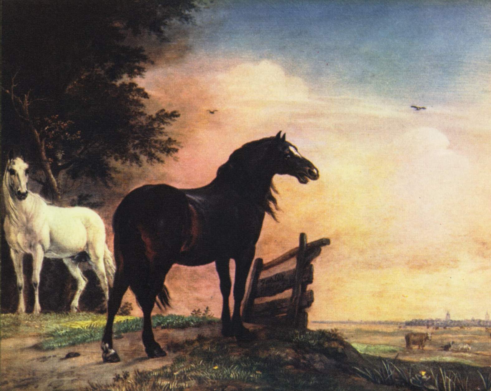 Paulus_Potter 1625-54_001.jpg